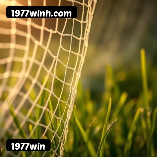 Comparação APP mobile vs versão web da 1977win